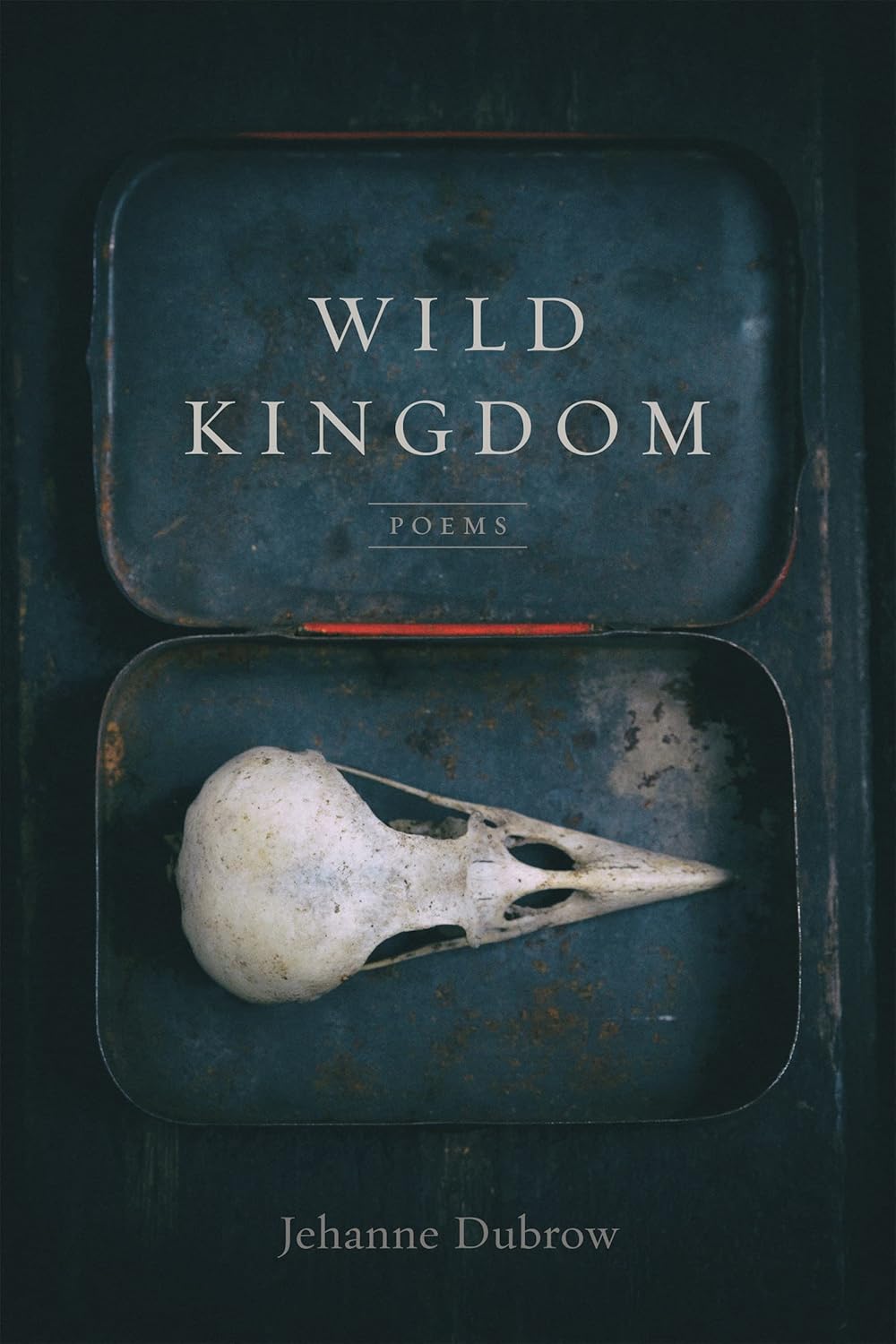 wild-kingdom